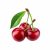 10 t