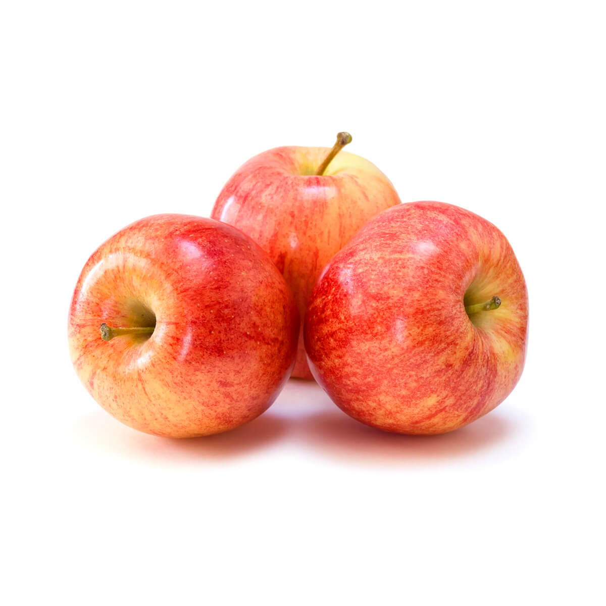 Pomme Gala
