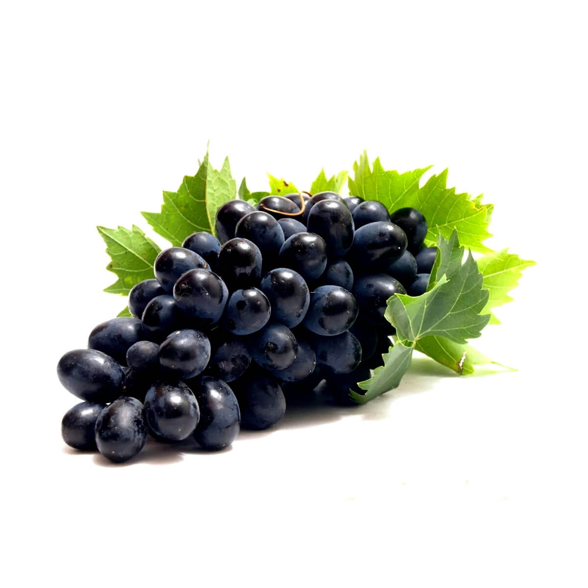 Raisin Noir